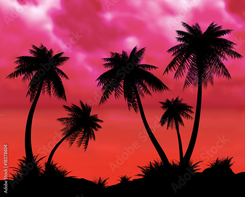 Silhouettes of palms on a night sea background.