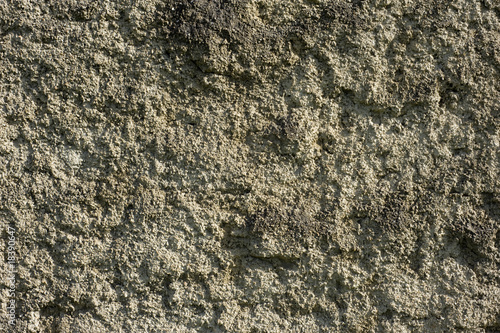 Textured cement wall Background © Michael Flippo