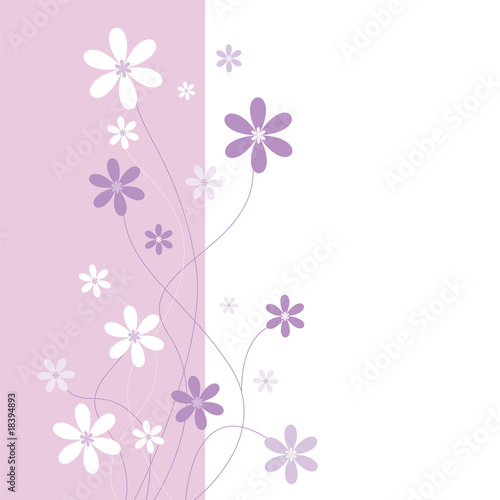 pink and purple flowers