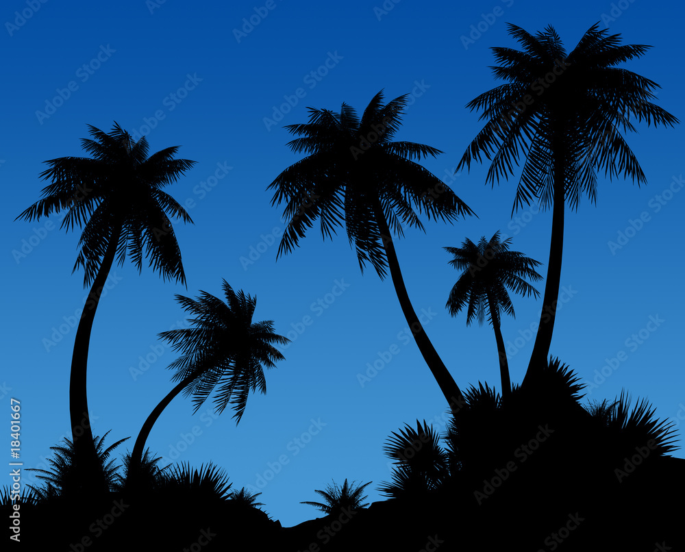 Silhouettes of palms on a dark blue background.