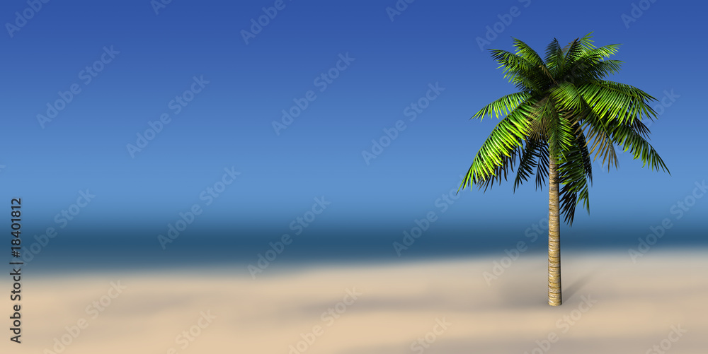 Palms on a sea background and place for sample text. Palms on a sea background and place for sample text.