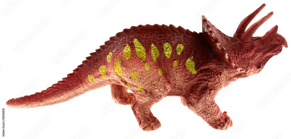 Fototapeta premium figurine tricératops fond blanc