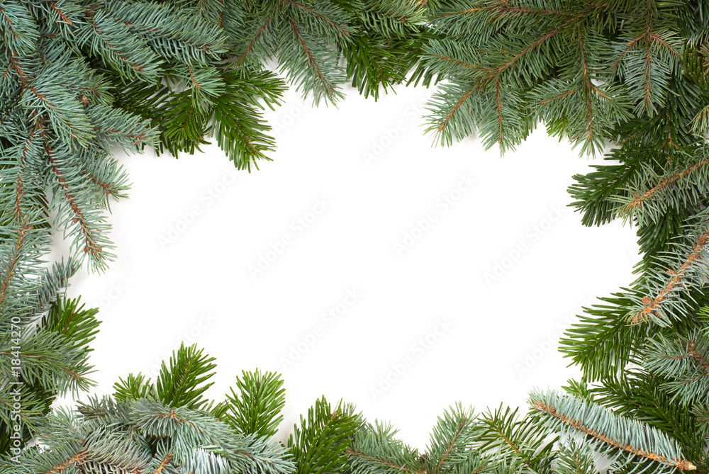 fir twig frame fir twig frame