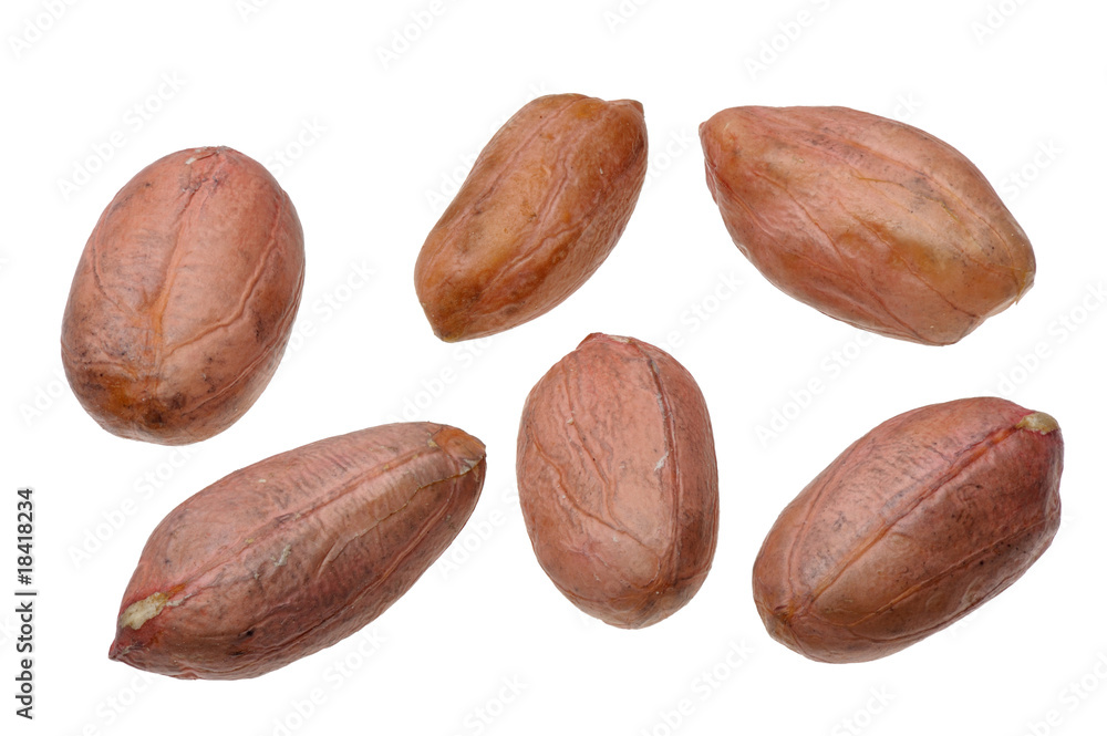 Obraz premium Peanuts.