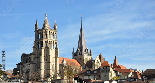 Canvastavla lausanne...la cathédrale notre dame