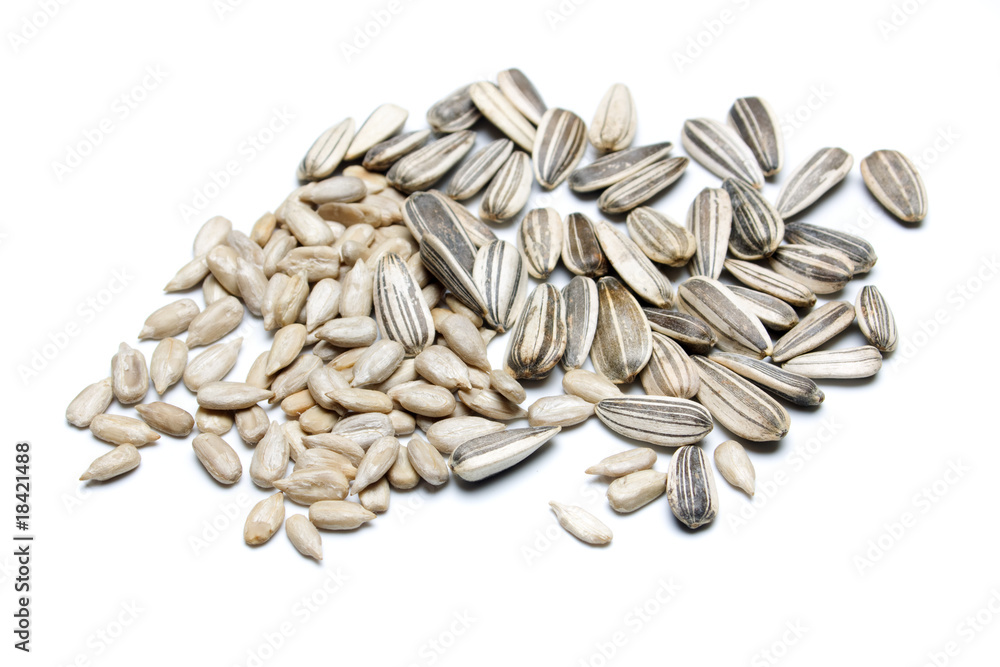 Sunflower seed isolated on white Sunflower seed isolated on white