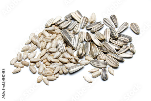 Sunflower seed isolated on white