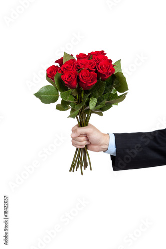 A hand holding a dozen red roses on white