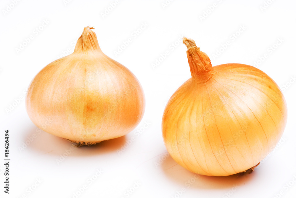 Obraz premium Onion