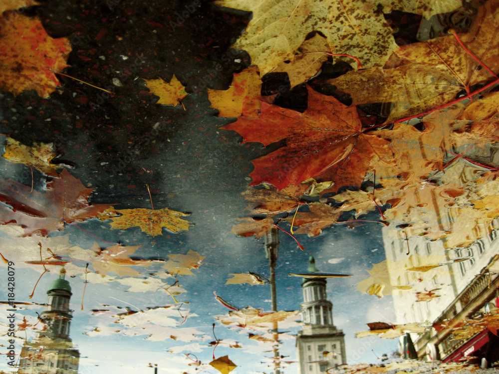Fototapeta premium Herbst in Berlin