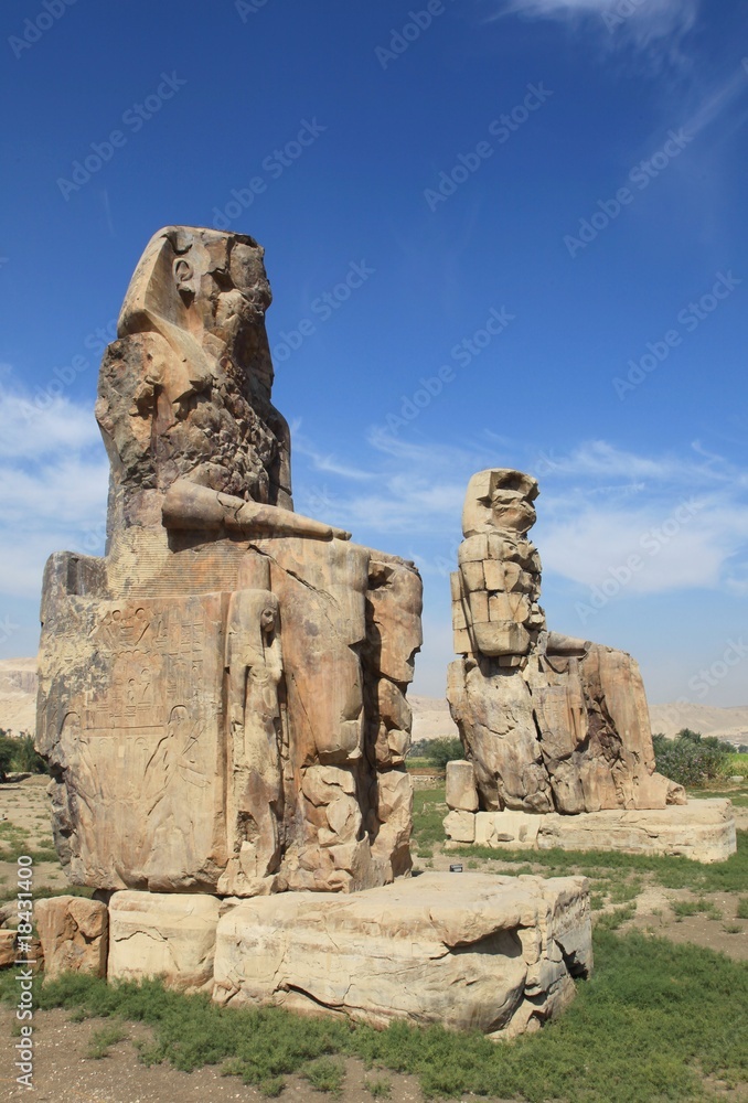 Fototapeta premium colosses memnon