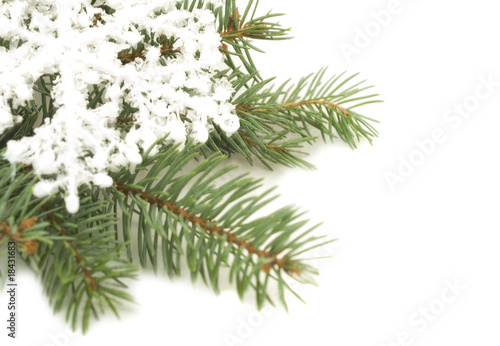 Snowflake ornament on a Christmas tree