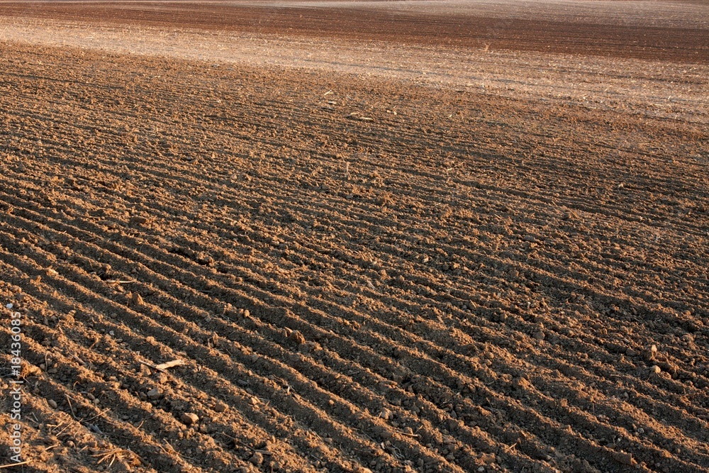 Soil Soil
