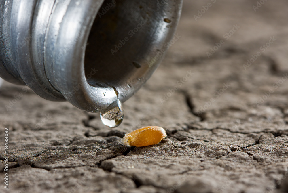 One drop on wheat corn and dry land One drop on wheat corn and dry land