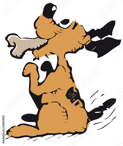 perro