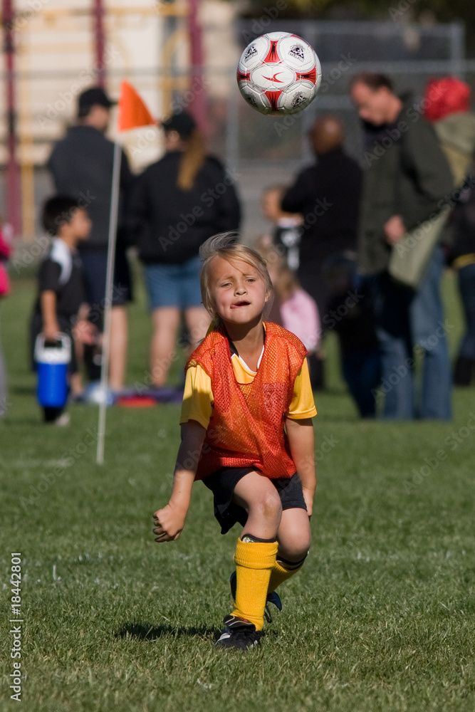 Obraz premium Throw In