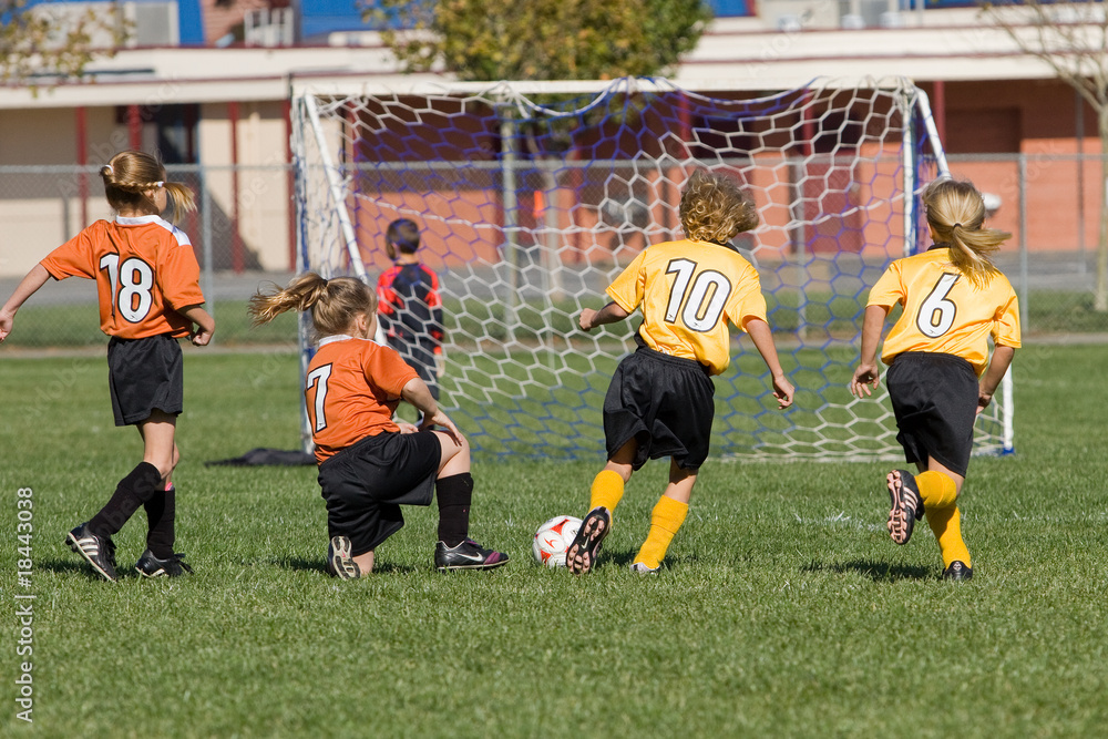 Obraz premium Falling Down