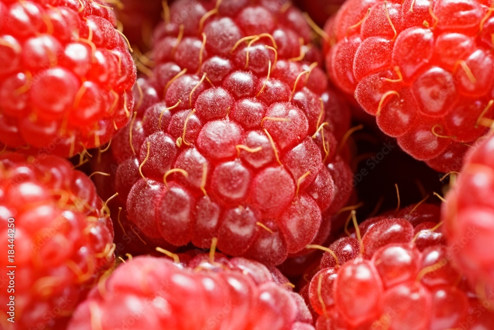raspberry macro raspberry macro