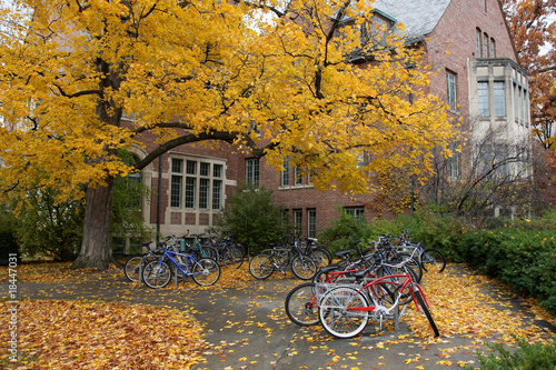 Принти на полотні Fall College Campus. University student dorm with autumn leaves