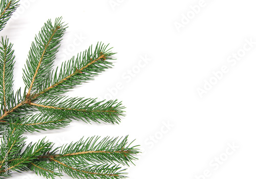 cartolina natalizia con rami pino