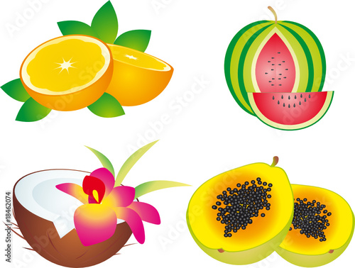 Fruits vector