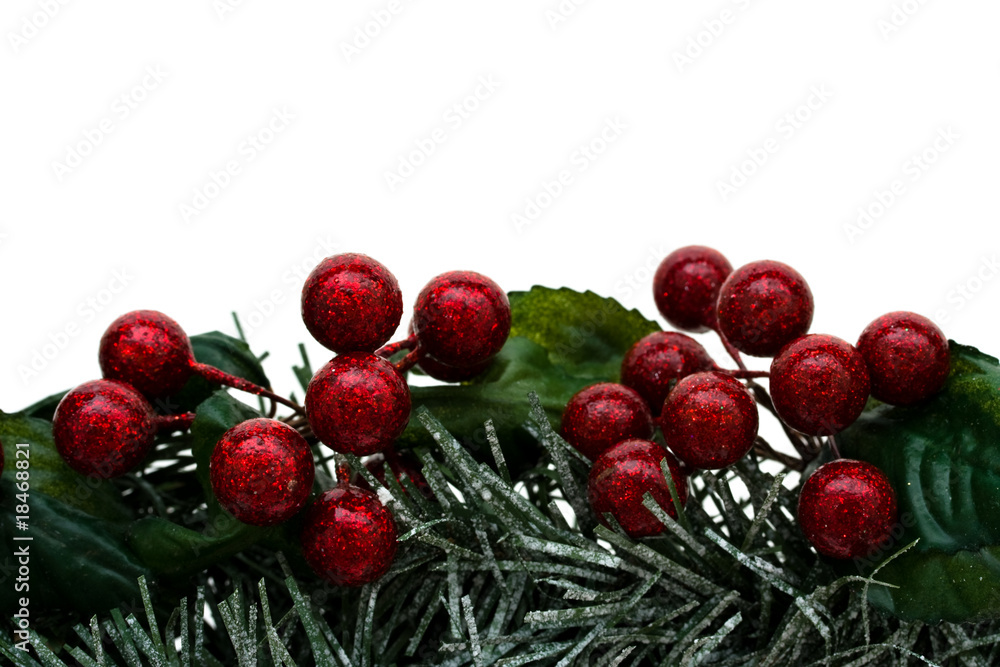 Garland Border Garland Border