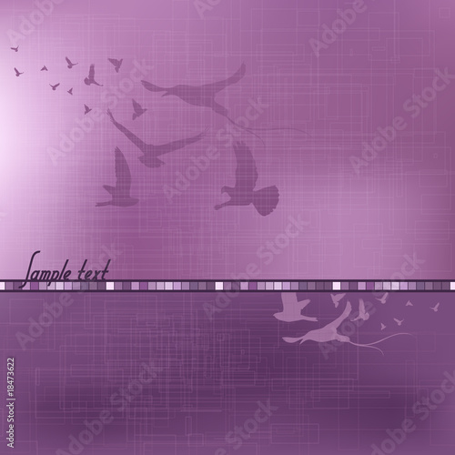 Abstract background with birds. Vector illustration.