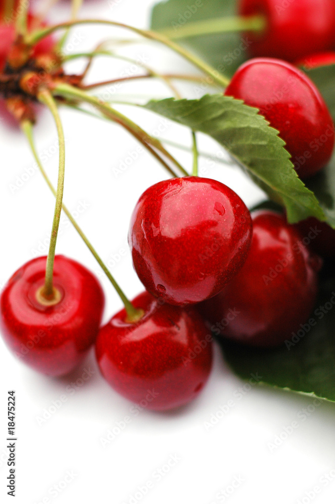 Cherries III Cherries III
