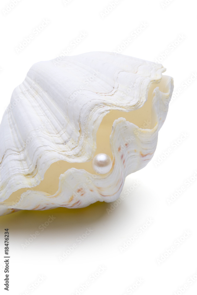 Obraz premium Muschel mit Perle