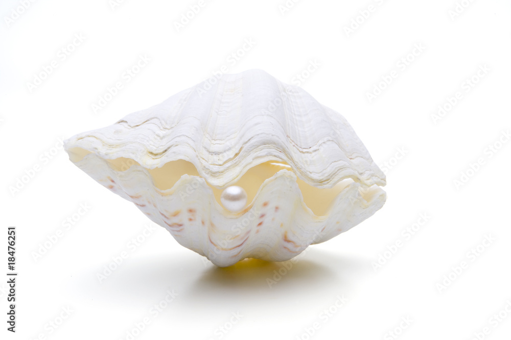 Muschel mit Perle StockFoto Adobe Stock