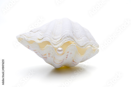 Muschel mit Perle