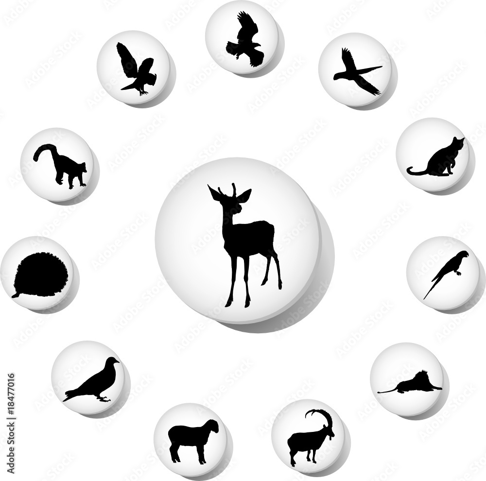Animals. Set of 12 round vector buttons for web Animals. Set of 12 round vector buttons for web