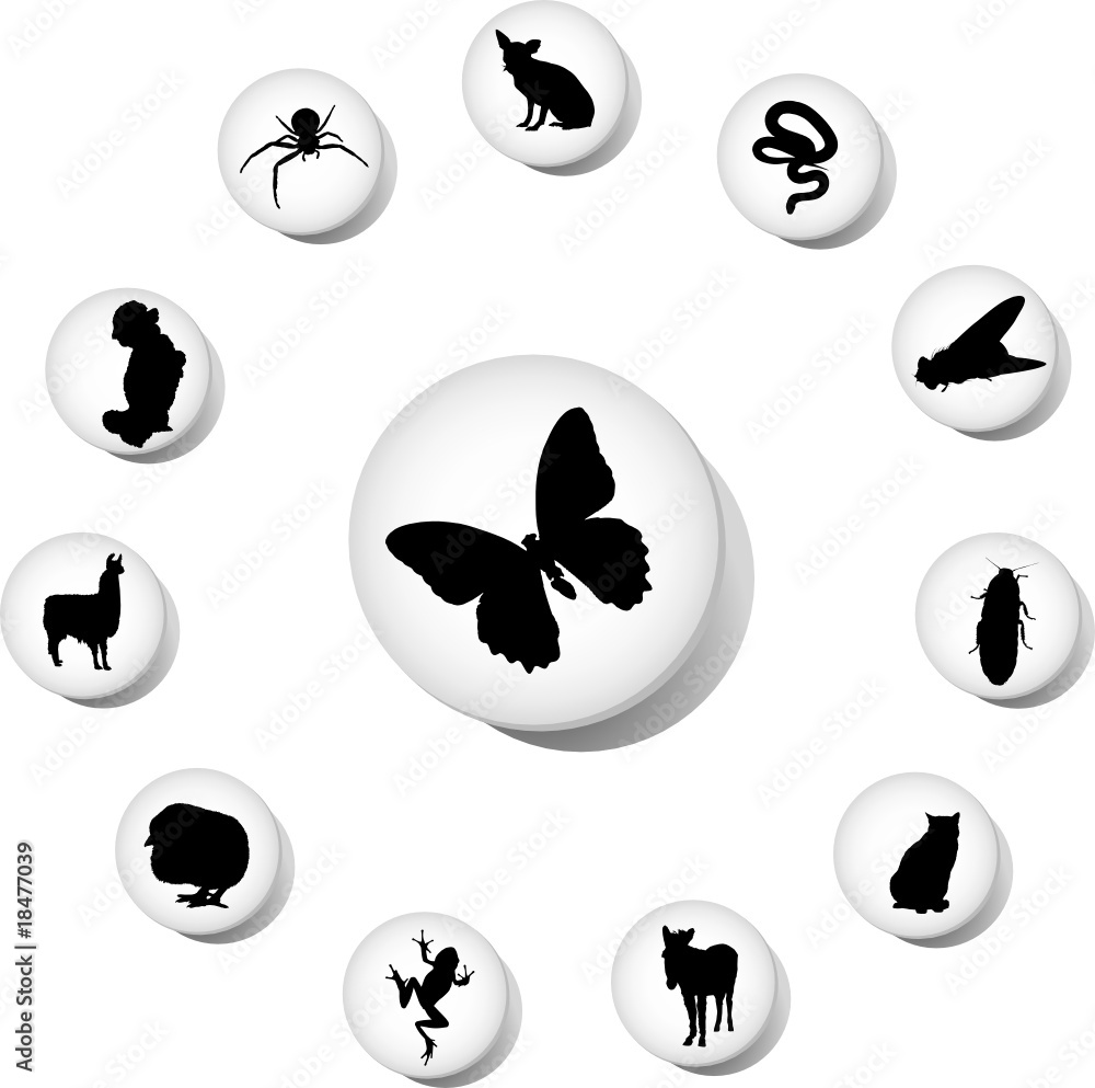 Animals. Set of 12 round vector buttons for web Animals. Set of 12 round vector buttons for web