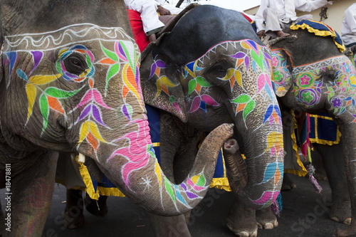 Photography Gangaur Festival-Jaipur