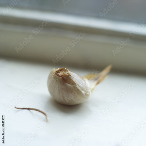 Garlic by the window photo