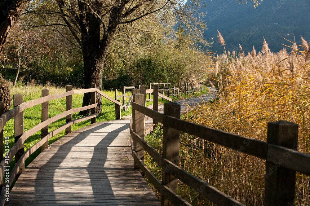 Fototapeta premium Autumn breeze