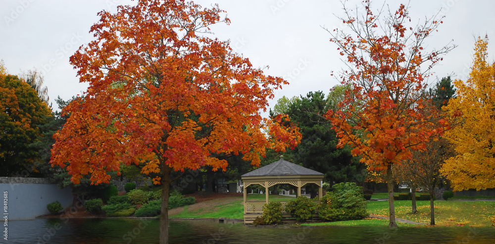 Obraz premium Fall colors