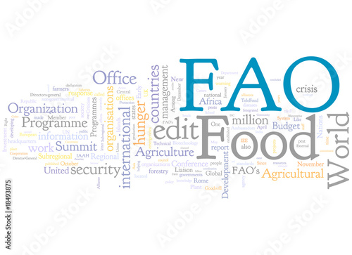 Photography Fao 2