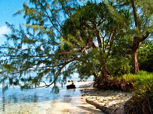 Plage de reve photo