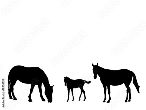 Pferde mit Fohlen-Silhouette