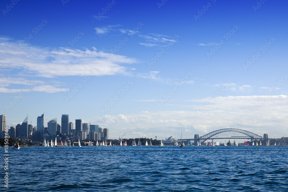 Obraz premium Sydney Sklyline mit Segelbooten