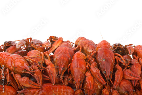 Pile of boiled crayfishes photo