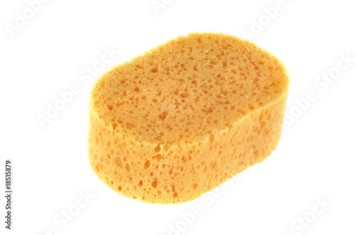 Yellow bath sponge