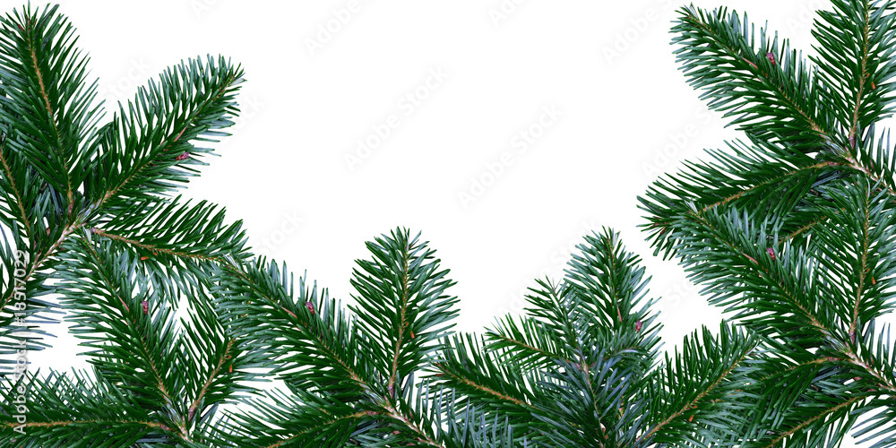 Tannenbaum - Äste Tannenbaum - Äste
