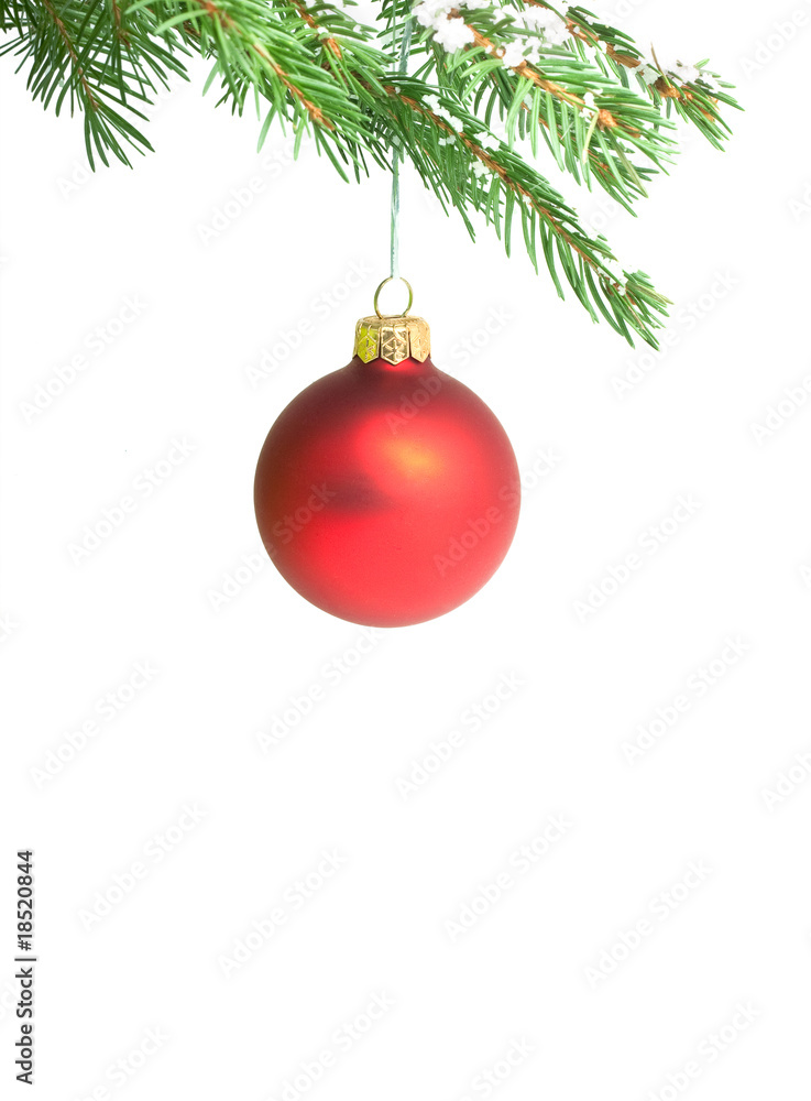 Branch with a Christmas toy Branch with a Christmas toy