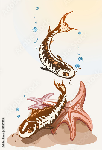 fishes and starfishes