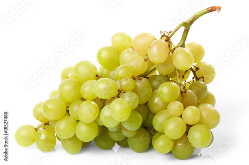 Branch of green grapes on the white background