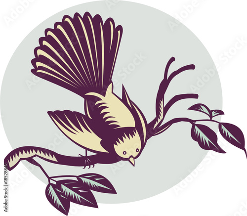 New zealand fantail bird perching on branch