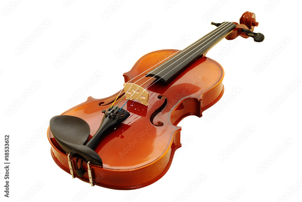Naklejka premium violin