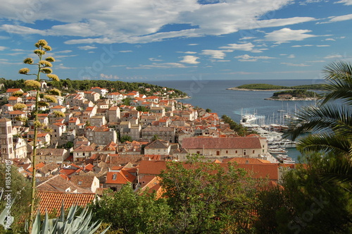 Widok na miasto Hvar i agawę photo